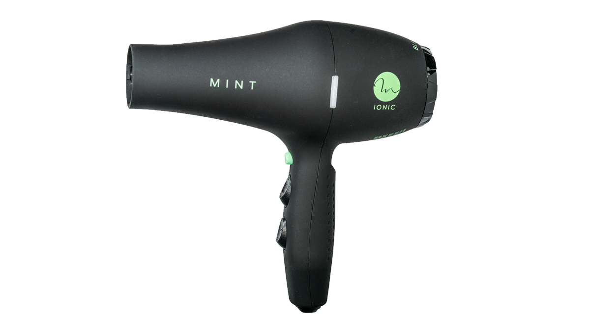 MINT Blackbird Hairdryer