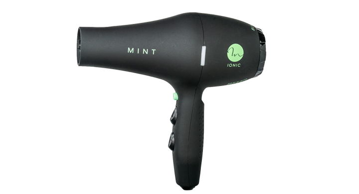 MINT Blackbird Hairdryer